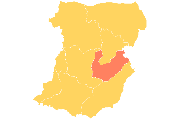 Américo de Campos