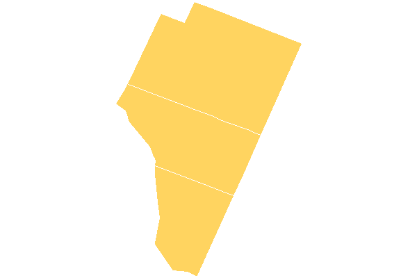 Vicentina