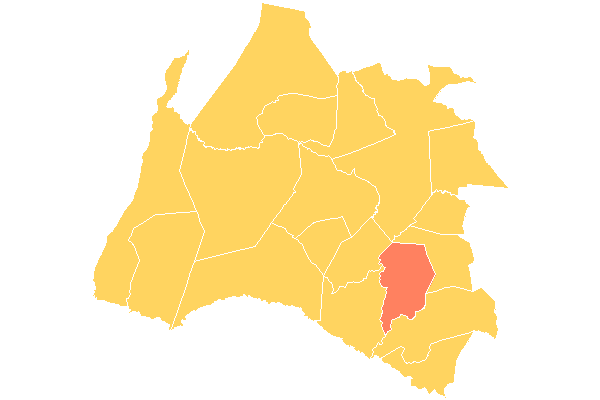 Licínio de Almeida