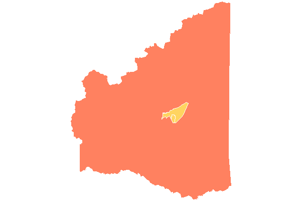Guaraná