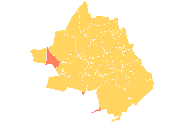 Regional Leste